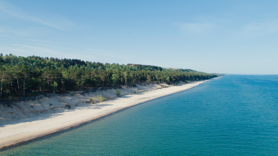 Summer's Best Swimming Locations in the Twin Cities | Counselor Realty